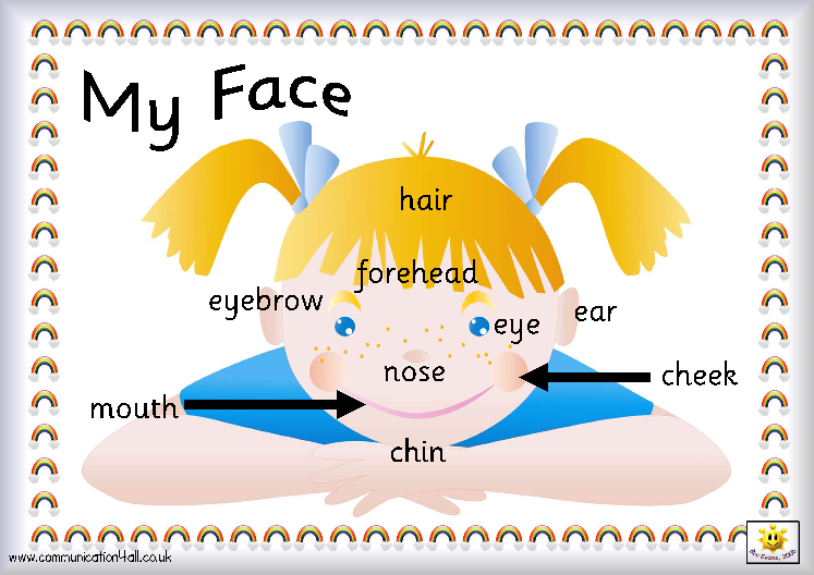 Body Parts Chart For Nursery